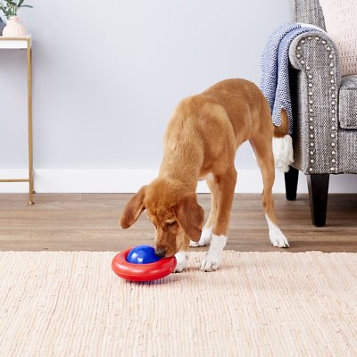 KONG Gyro Dog Toy