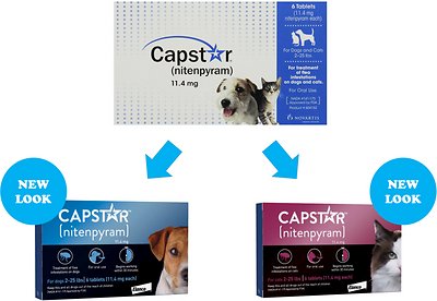 Capstar Flea Oral Treatment For Cats