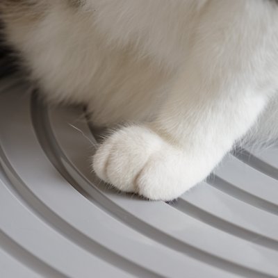 IRIS Top Entry Cat Litter Box