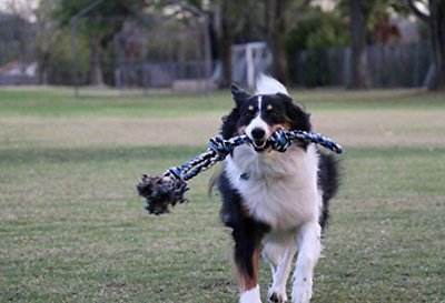 Pacific Pups Rescue Assorted Rope Dog Toys