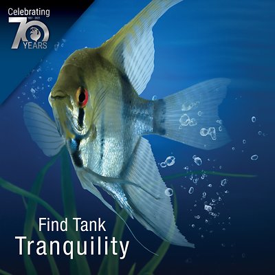 Tetra HT Submersible Aquarium Heater with Thermostat