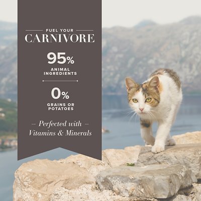 Blue Buffalo Carnivora Woodland Blend Grain-Free Adult Wet Cat Food