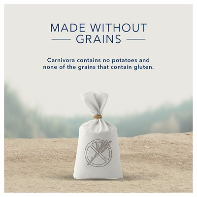 Blue Buffalo Carnivora Woodland Blend Grain-Free Adult Wet Cat Food