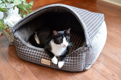 Armarkat Collasible Zipper Top Cuddle Cave Cat Bed