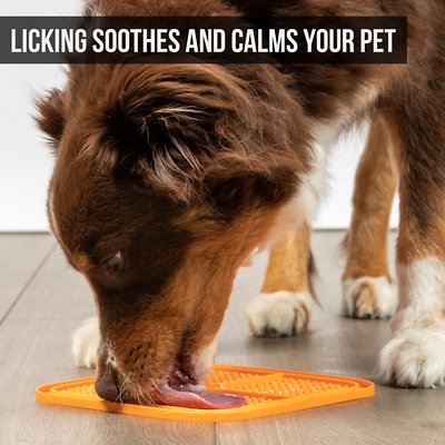 Hyper Pet IQ Calm Slow Feeder Cat & Dog Treat Mat