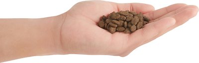 ORIJEN Tundra Dry Cat Food