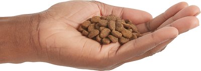 ORIJEN Fit & Trim Dry Cat Food