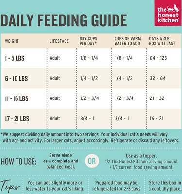 The Honest Kitchen Grain-Free Turkey Dehydrated Cat Food