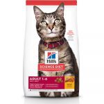 HILL'S SCIENCE DIET Adult Chicken Recipe Dry Cat Food