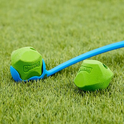 Chuckit! Erratic Ball Dog Toy