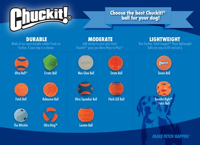 Chuckit! Erratic Ball Dog Toy
