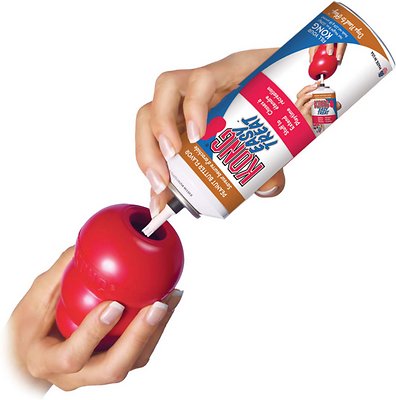 KONG Classic Dog Toy