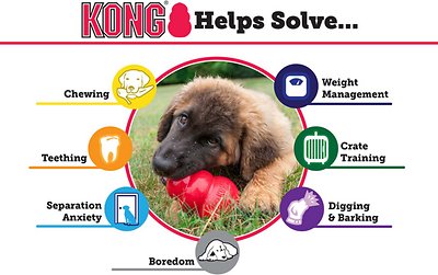 KONG Classic Dog Toy
