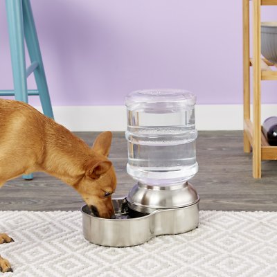 Petmate Stainless Steel Replendish Waterer