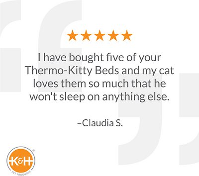 K&H Pet Products Thermo-Kitty Cat Bed