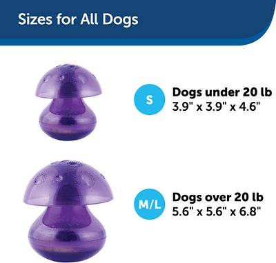 Busy Buddy Magic Mushroom Treat Dispenser Dog Toy