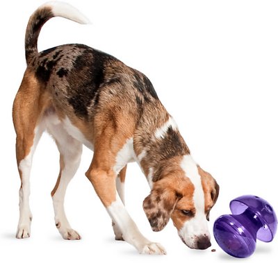 Busy Buddy Magic Mushroom Treat Dispenser Dog Toy