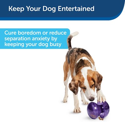 Busy Buddy Magic Mushroom Treat Dispenser Dog Toy