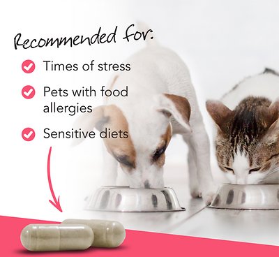 VetriScience Vetri-Mega Probiotic Digestive Health Dog & Cat Capsules