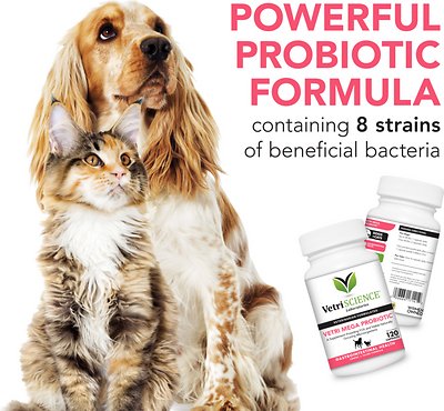 VetriScience Vetri-Mega Probiotic Digestive Health Dog & Cat Capsules