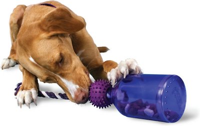 Busy Buddy Tug-A-Jug Treat Dispenser Tough Dog Chew Toy