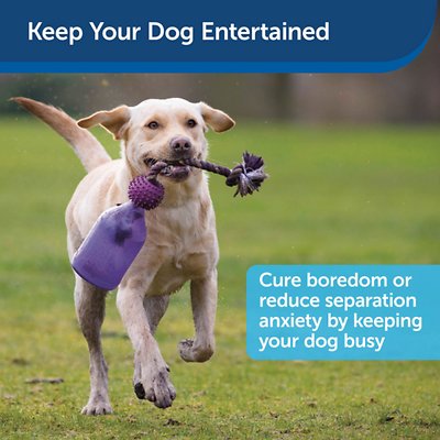 Busy Buddy Tug-A-Jug Treat Dispenser Tough Dog Chew Toy