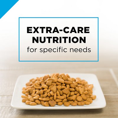 PURINA PRO PLAN Focus Adult Indoor Care Turkey & Rice Formula Dry Cat Food