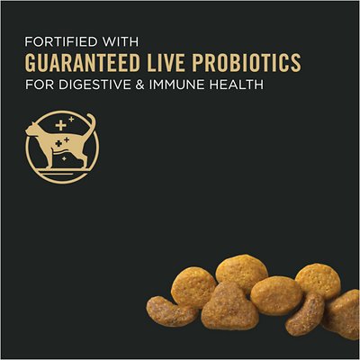 PURINA PRO PLAN Savor Adult Chicken & Rice Recipe Dry Food