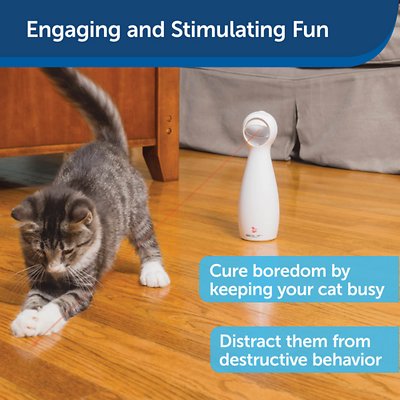 PetSafe Bolt Interactive Laser Cat Toy