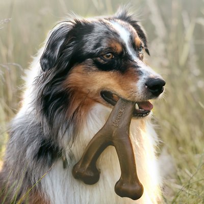 Benebone Bacon Flavor Wishbone Tough Dog Chew Toy