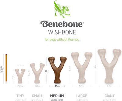 Benebone Bacon Flavor Wishbone Tough Dog Chew Toy