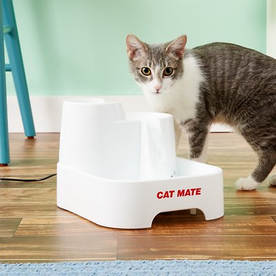 Cat Mate Plastic Dog & Cat Fountain