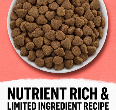 PURINA BEYOND  Simply Salmon & Whole Brown Rice Recipe Dry Cat Food
