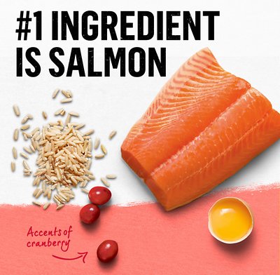 PURINA BEYOND Simply Salmon & Whole Brown Rice Recipe Dry Cat Food