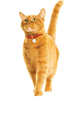 9Lives Meaty Pate Mixed Grill Canned Food