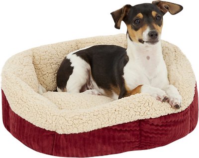 Aspen Pet Self-Warming Bolster Cat & Dog Bed