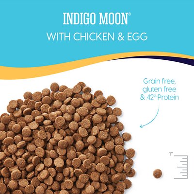 SOLID GOLD Indigo Moon with Chicken & Eggs High-Protein Recipe