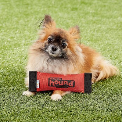 Outward Hound Firehose Squeak N Fetch Dog Toy