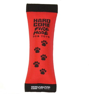 Outward Hound Firehose Squeak N Fetch Dog Toy