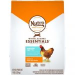 NUTRO Wholesome Essentials Indoor Chicken & Brown Rice Recipe Adult Dry Food