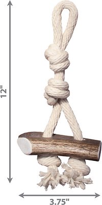 KONG Wild Elk Antler Dog Toy