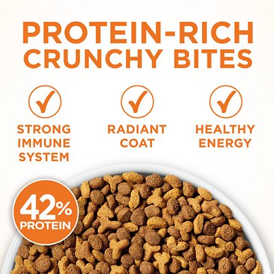 PURINA ONE Ideal Weight Adult Dry Cat Food
