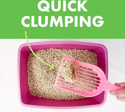 Weruva Classic Fresh Scented Clumping Wood Cat Litter