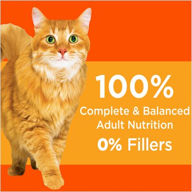 IAMS Proactive Health Healthy Adult with Chicken Recipe