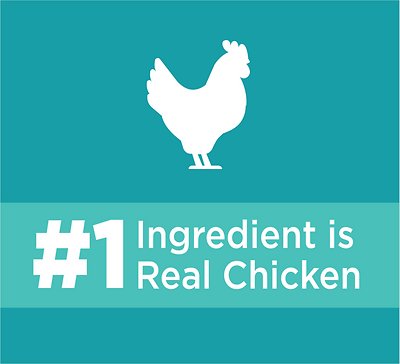 IAMS Proactive Health Adult Indoor Weight & Hairball Care with Chicken & Turkey