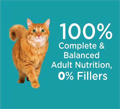 IAMS Proactive Health Adult Indoor Weight & Hairball Care with Chicken & Turkey