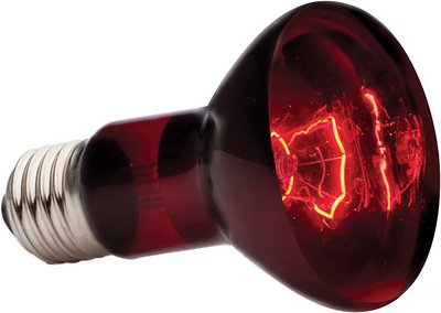 Exo Terra Infrared Basking Reptile Spot Lamp