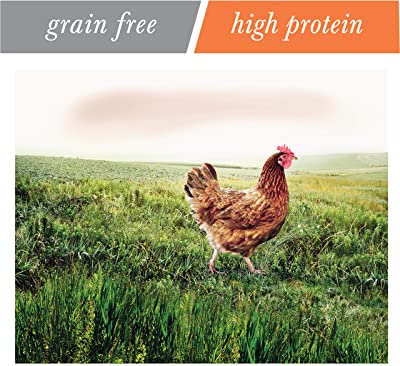 NUTRO Wild Frontier Indoor Adult Open Valley Recipe Chicken Flavor High-Protein Grain-Free Dry Food