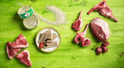 FROMM Four-Star Nutritionals Lamb Pate Canned Food