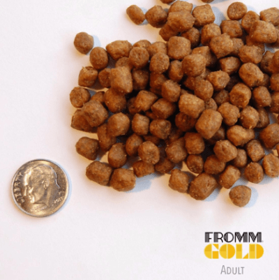 FROMM Family Gold Adult Recipe Dry Cat Food